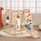 Indoor Jungle Gym Wooden Toddler Playground with Ladder Swing Slide and Climbing Wall